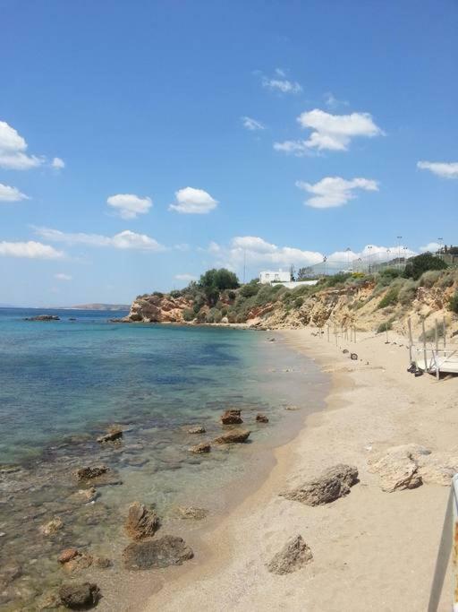 Beautiful, Private Villa By The Sea Agia Marina  Zewnętrze zdjęcie