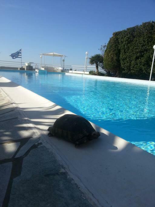Beautiful, Private Villa By The Sea Agia Marina  Zewnętrze zdjęcie