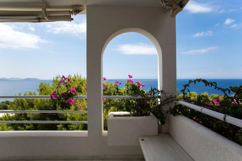 Beautiful, Private Villa By The Sea Agia Marina  Zewnętrze zdjęcie
