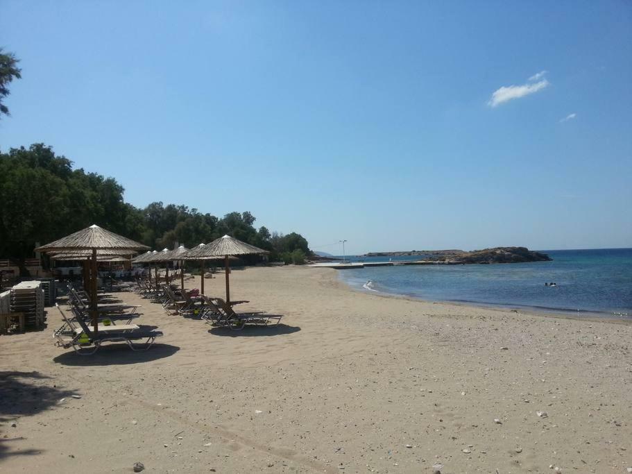 Beautiful, Private Villa By The Sea Agia Marina  Zewnętrze zdjęcie