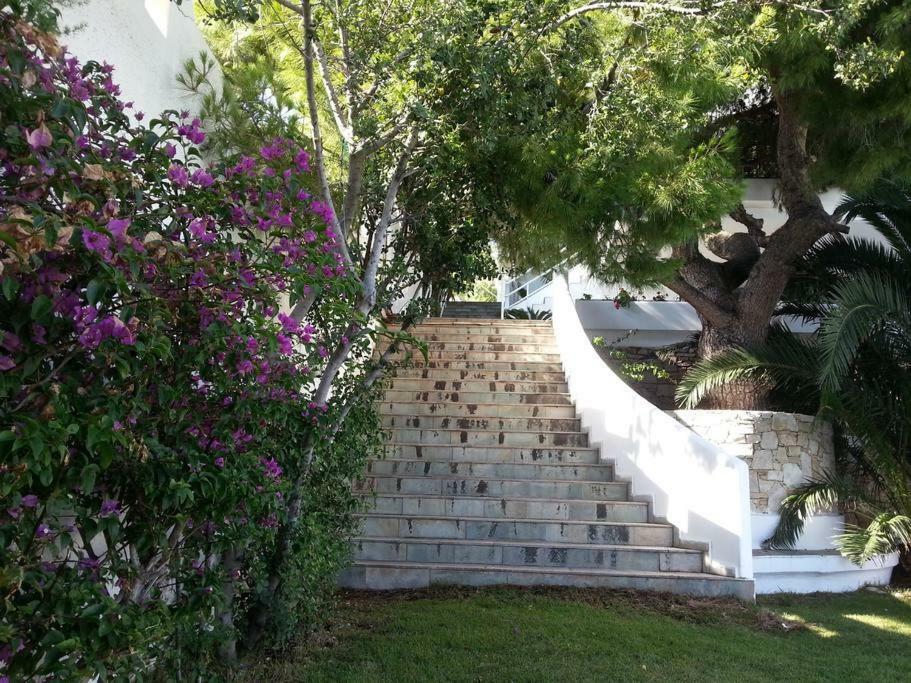 Beautiful, Private Villa By The Sea Agia Marina  Zewnętrze zdjęcie